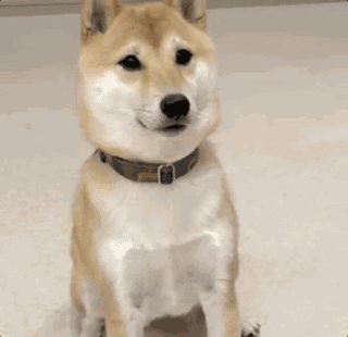 當你說“避孕套不都一個樣”的時候…(圖15) 當你說“避孕套不都一個樣”的時候…(圖15)