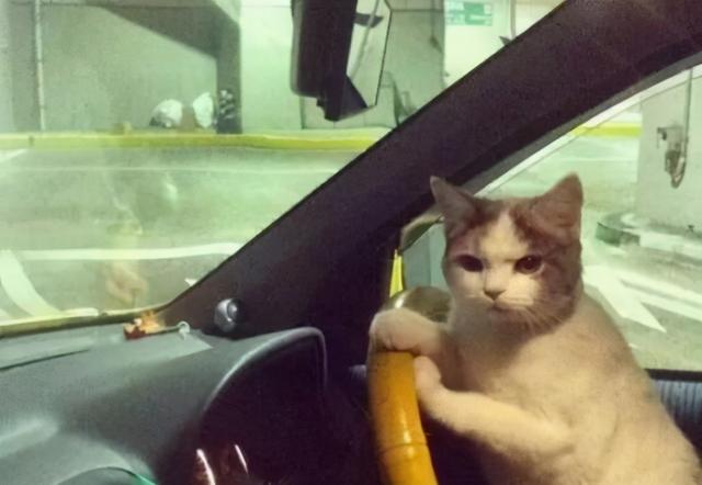 年輕人,別把無痛人流當避孕(圖2) 年輕人,別把無痛人流當避孕(圖2)